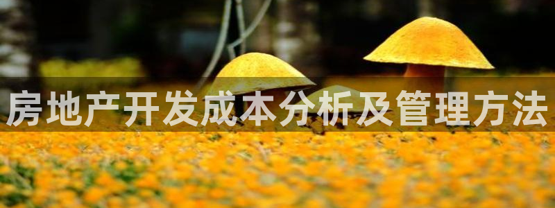 万能娱乐平台直招代理