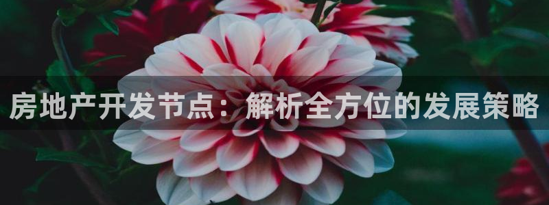 万向娱乐怎么样