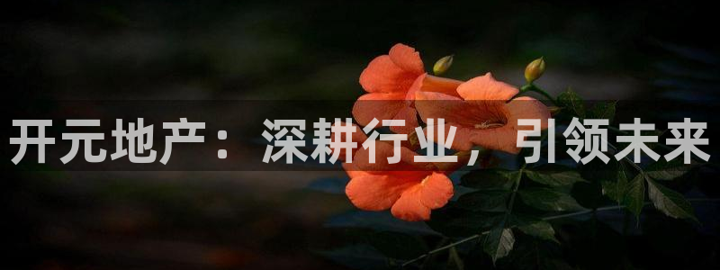 万向娱乐灯333OO