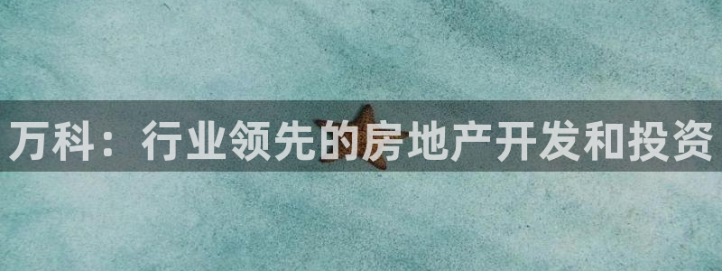 万向娱乐平台代理多少钱