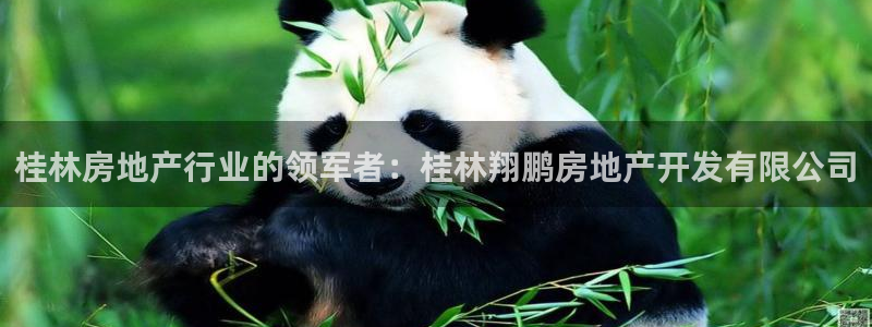 万向娱乐平台下载安装手机版