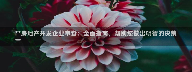 万向娱乐平台怎么下载