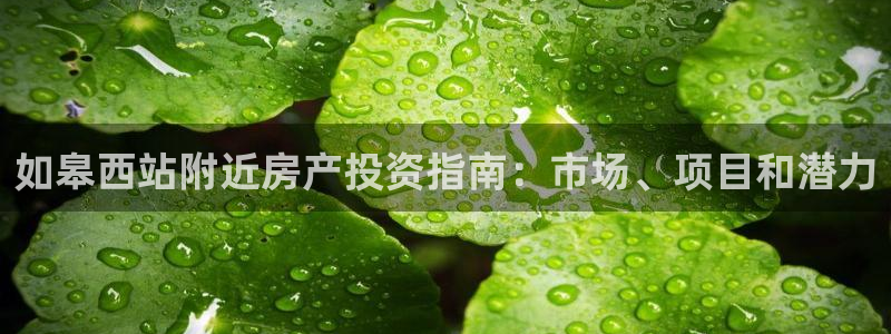 万向娱乐官网网址是什么