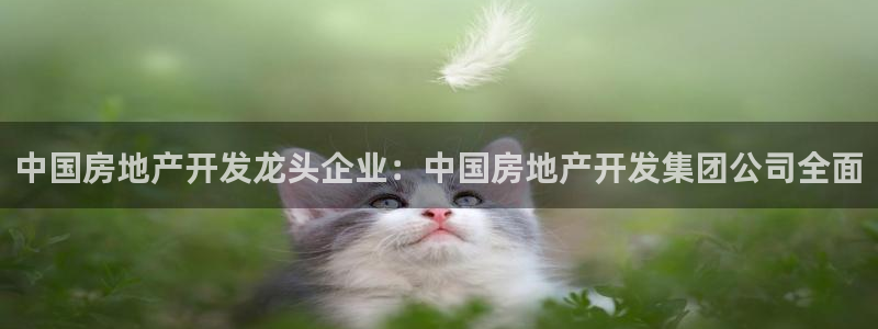 万向娱乐老板