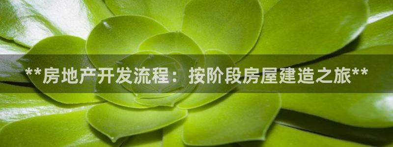万向娱乐怎么样