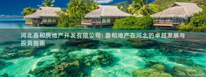 万向娱乐网址是什么