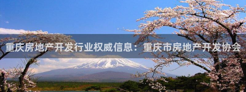 万向娱乐挂机软件