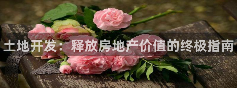 万向娱乐平台代理多少钱一年