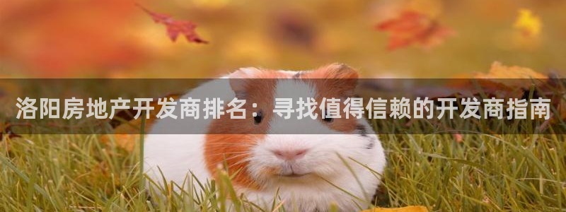 万向娱乐登陆官网