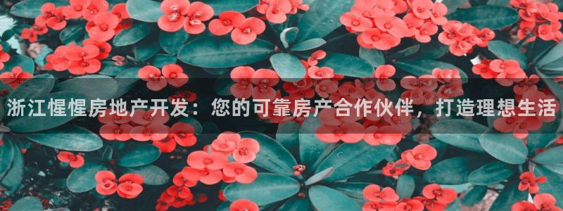 万向娱乐平台代理