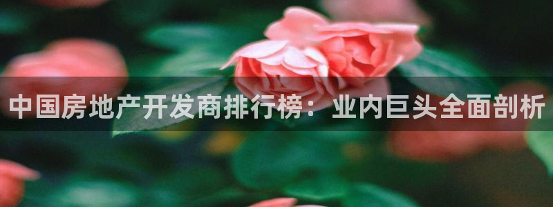 万能娱乐代理网址