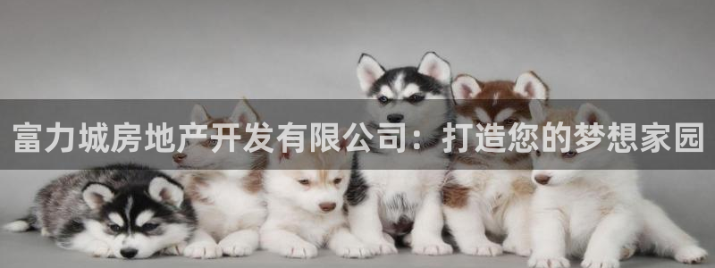 万向娱乐官网网址是多少