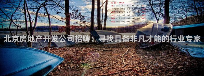 万向娱乐平台代理怎么做