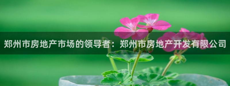 万向娱乐登陆官网下载