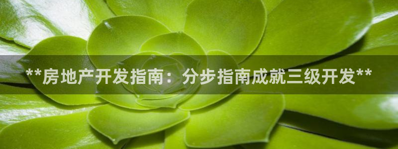 万向娱乐app下载官网