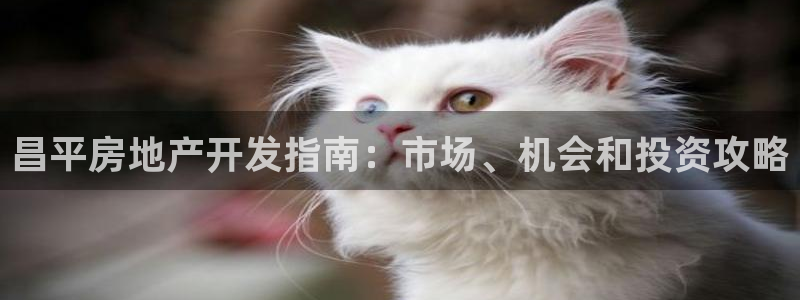万向娱乐平台怎么下载