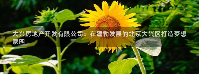 万向娱乐平台提现多久到账