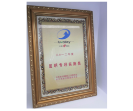 2012��2012��ȷ���ר��ִ�н�