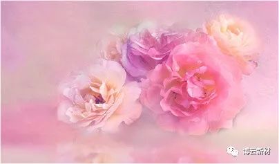 �й�������yl23455(����)���޹�˾-�ٷ���վ