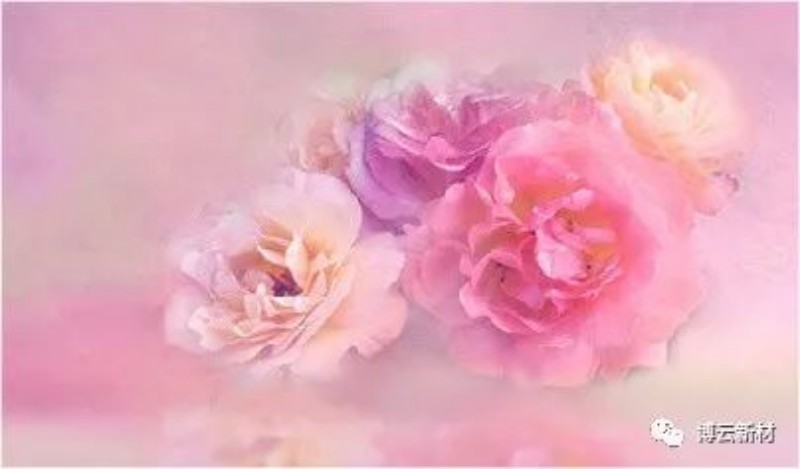 �й�������yl23455(����)���޹�˾-�ٷ���վ